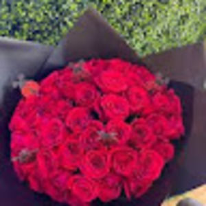 Meet your Posher, Isis